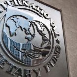 IMF-e1476029963229
