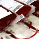 Blood.filerm.rm_-1