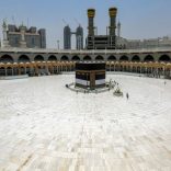 Hajjafp