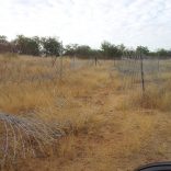 Border_frence_Musina_Sand_river_side_Dave_Peddle