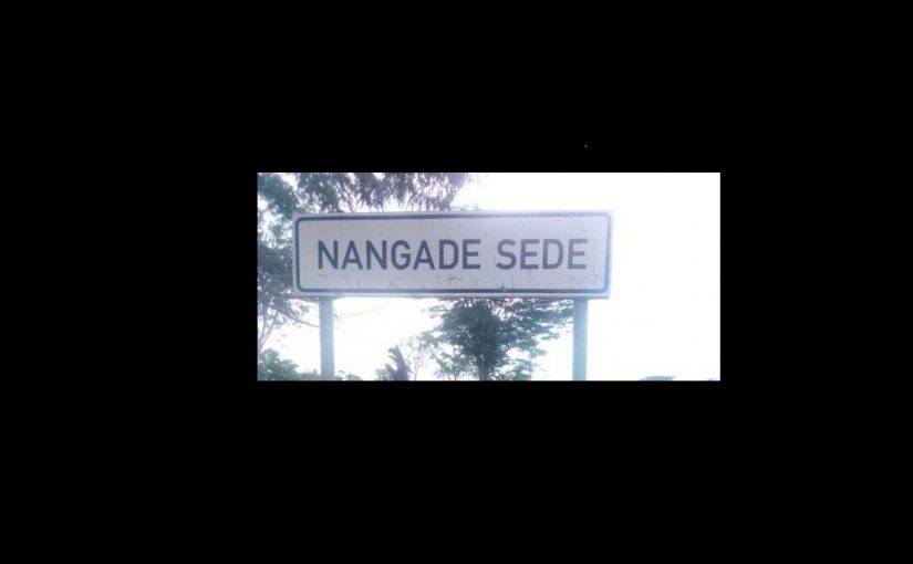 Nagadesede