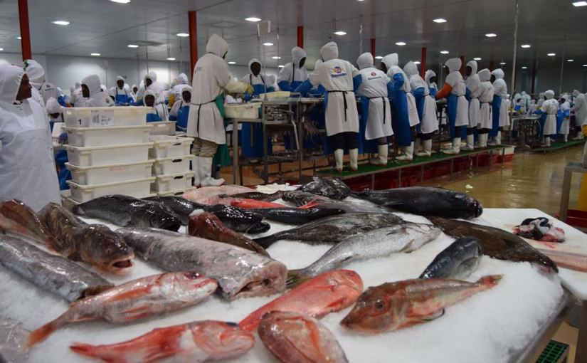 Namibiansun.fishing