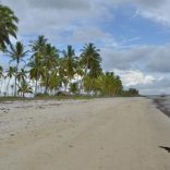 Palma.cabodelgado.dw_
