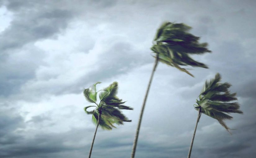Storm