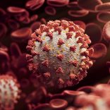 Covid.virus_.v-2