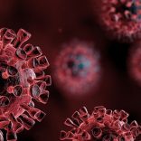 Covivirus.op_