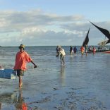 Fisheries90percent.rm_