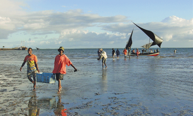 Fisheries90percent.rm_