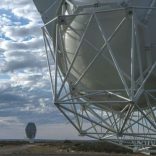 Satelafp