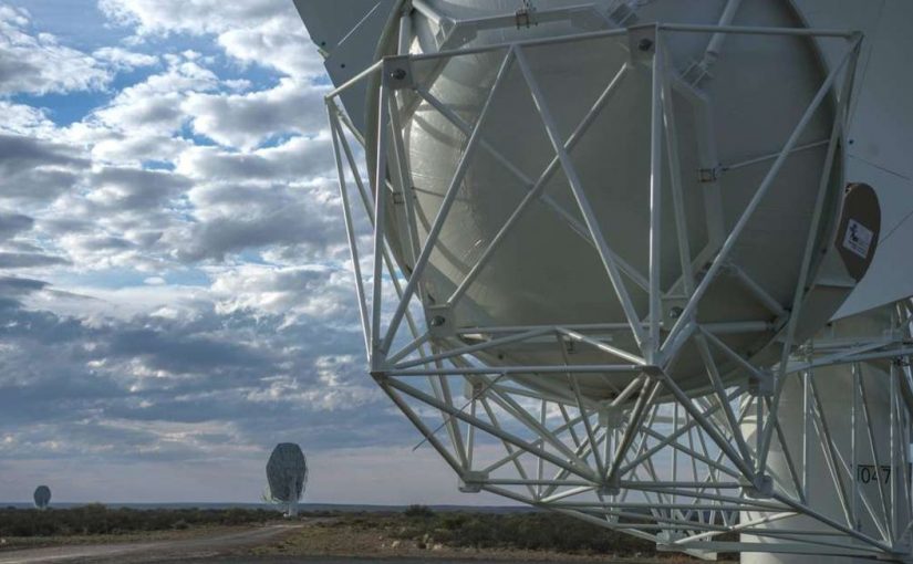 Satelafp