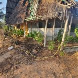 Situisland.p