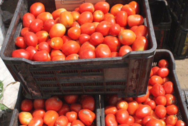 Tomatoprod.rm_