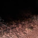 Border_fence_Mozambique_SANDF