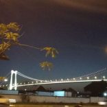 Bridge.v