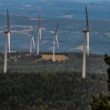 Eugreenw