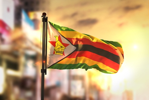Zim.flag_.filefile