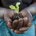 Land.pic_.oxfam_