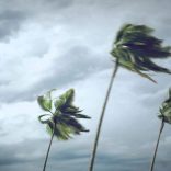 Storm
