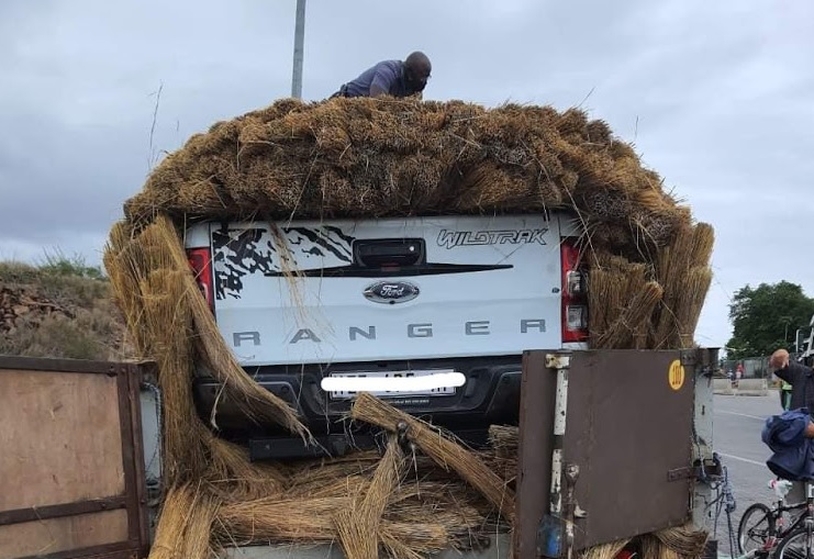 Bakkie