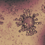 Covidvirus-1