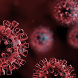 Covidvirus.benningtoncollege