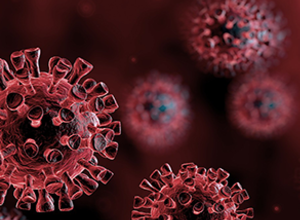 Covidvirus.benningtoncollege