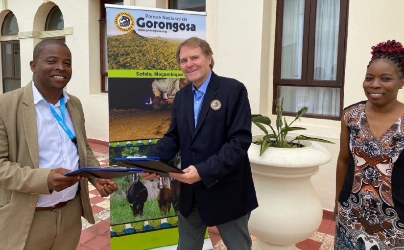 Gorongosa1.gregcarr