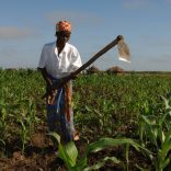 Woman.agriculture.moz_.file_