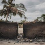 Cabodelgado.nhmirre.afp_
