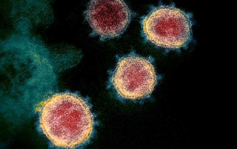 Covidvirus.wmc_