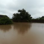 Floodssanp