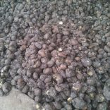 Potatoes.ikweli