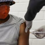 Vaccinea.f.r