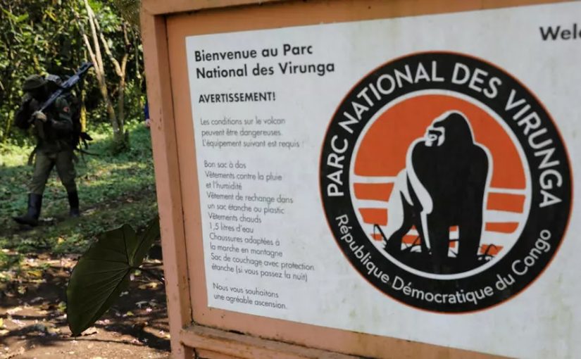 Virungadrc
