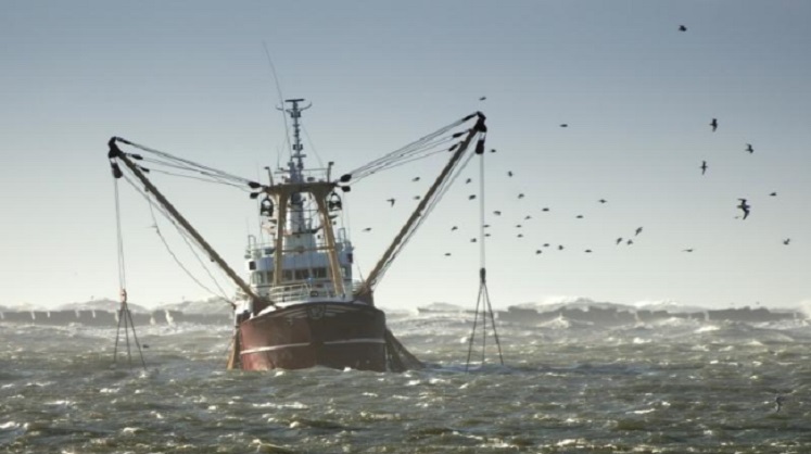 Mhoje_fishing3_photo_jpg