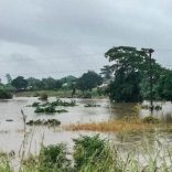 Calanga.tvm_