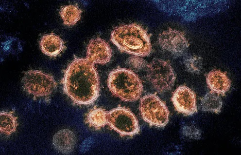 Covidvariants.n-1