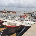 Fishingport.beira_.not_