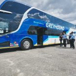 Greyhbt