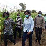Maua.govt_