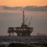 Petrostt