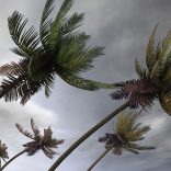 Storm.file_-1