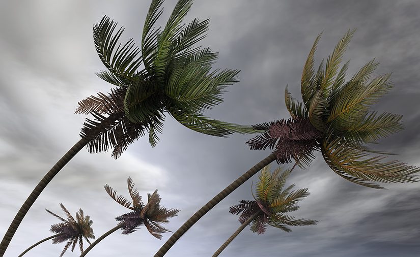 Storm.file_-1
