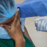 Vaccinelusa