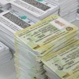 Mhoje_IDcards_photo_jpg
