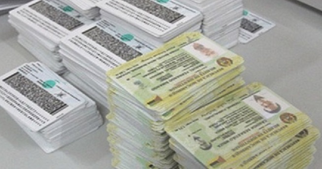 Mhoje_IDcards_photo_jpg