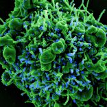 Covid.virus_.n
