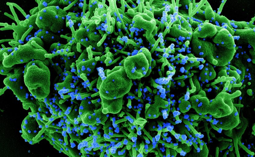 Covid.virus_.n