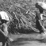 Frelimo.women_.not_