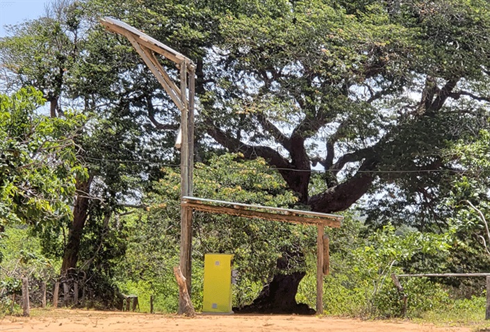 Giraffegiraffe